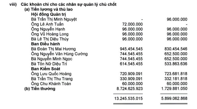 Lãnh đạo doanh nghiệp nghìn tỷ với lợi nhuận tăng 6.755%, vua hàng hiệu Johnathan Hạnh Nguyễn nhận thù lao gây sốc - Ảnh 3.