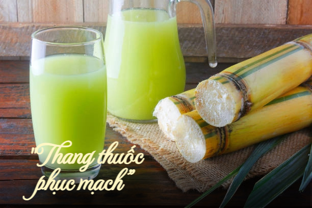 Thức uống được Đông y gọi là thang thuốc phục mạch, giúp khỏe gan, tốt cho thận, đẹp da - Ảnh 1.