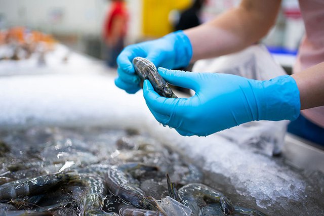 Bất ngờ loại hải sản có thể lấy vỏ làm ‘vũ khí’ bảo vệ môi trường - Việt Nam đang là ‘vua xuất khẩu’ - Ảnh 9.