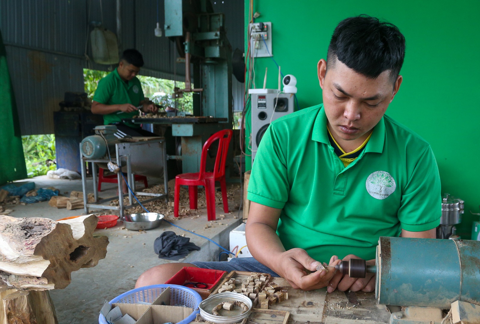 Quảng Nam: Vỡ nợ vì 3 lần khởi nghiệp thất bại, ôm nợ 200 triệu, chàng trai về quê tìm vàng trong thân cây rồi đổi đời từ đó - Ảnh 5.