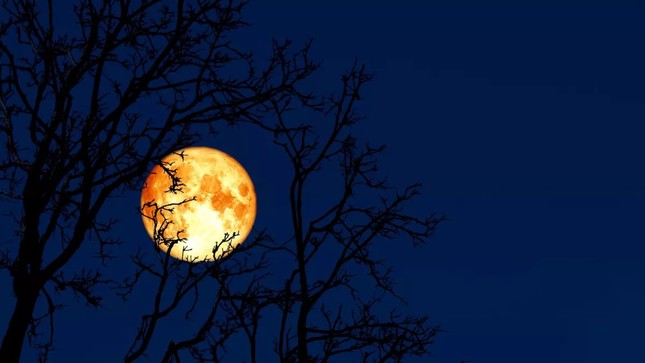 Tại sao trăng rằm tháng 2 được gọi là Trăng giun? - Ảnh 1.