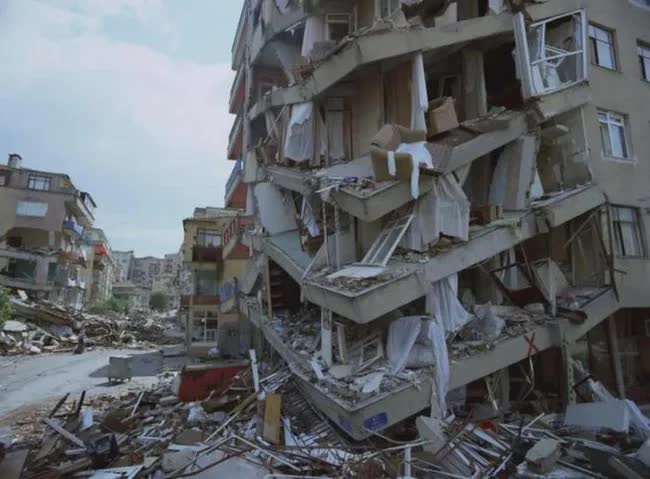 Thảm họa sau động đất lịch sử ở Thổ Nhĩ Kỳ: Hàng triệu con sâu róm đổ bộ, hình ảnh khiến ai cũng rùng mình - Ảnh 6.