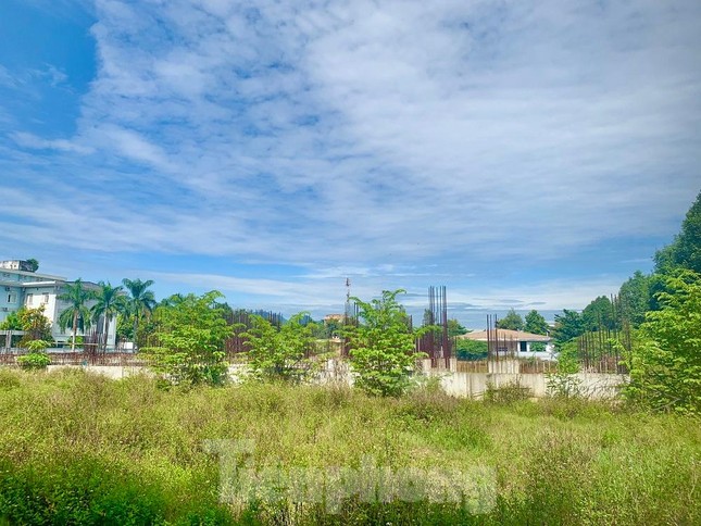 Bệnh viện gần 50 triệu đô bỏ hoang ở Quảng Ngãi: Yêu cầu chấm dứt dự án - Ảnh 2.