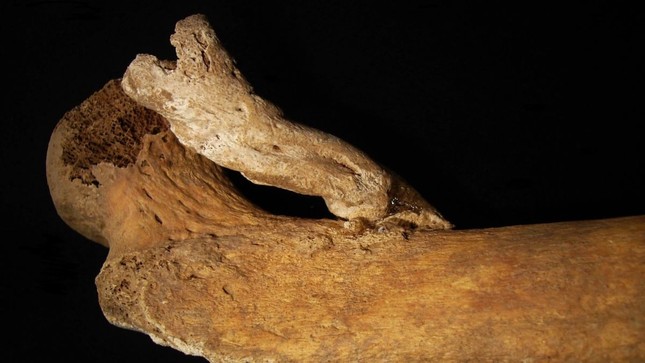 Giải mã bộ xương đùi bí ẩn của một phụ nữ từ thế kỷ 14-19 - Ảnh 1.