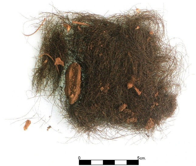 Sợi tóc 3.000 năm tiết lộ một sự thật về người châu Âu cổ đại - Ảnh 3.