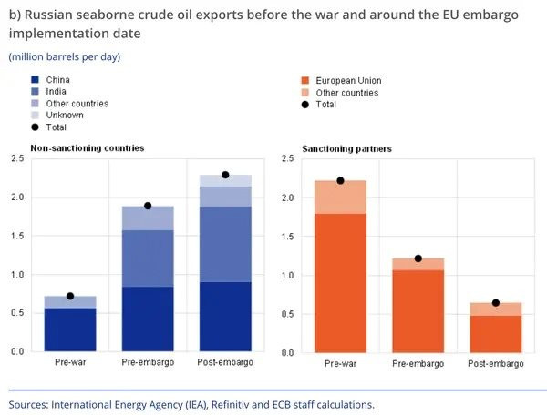 Xuất khẩu dầu thô của Nga tăng vọt - mặc EU trừng phạt, 2 bạn hàng thân thiện cân tất? - Ảnh 1.