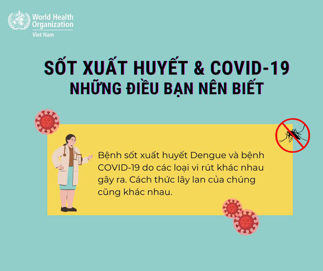 Cách phân biệt sốt xuất huyết và COVID-19 - Ảnh 1.