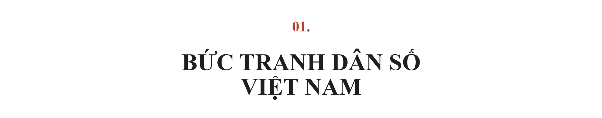 Bức tranh toàn cảnh dân số của Việt Nam nói lên điều gì? - Ảnh 2.