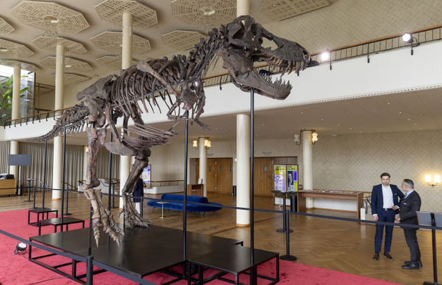 Bộ xương T-Rex được bán với giá hơn 6 triệu USD - Ảnh 1.