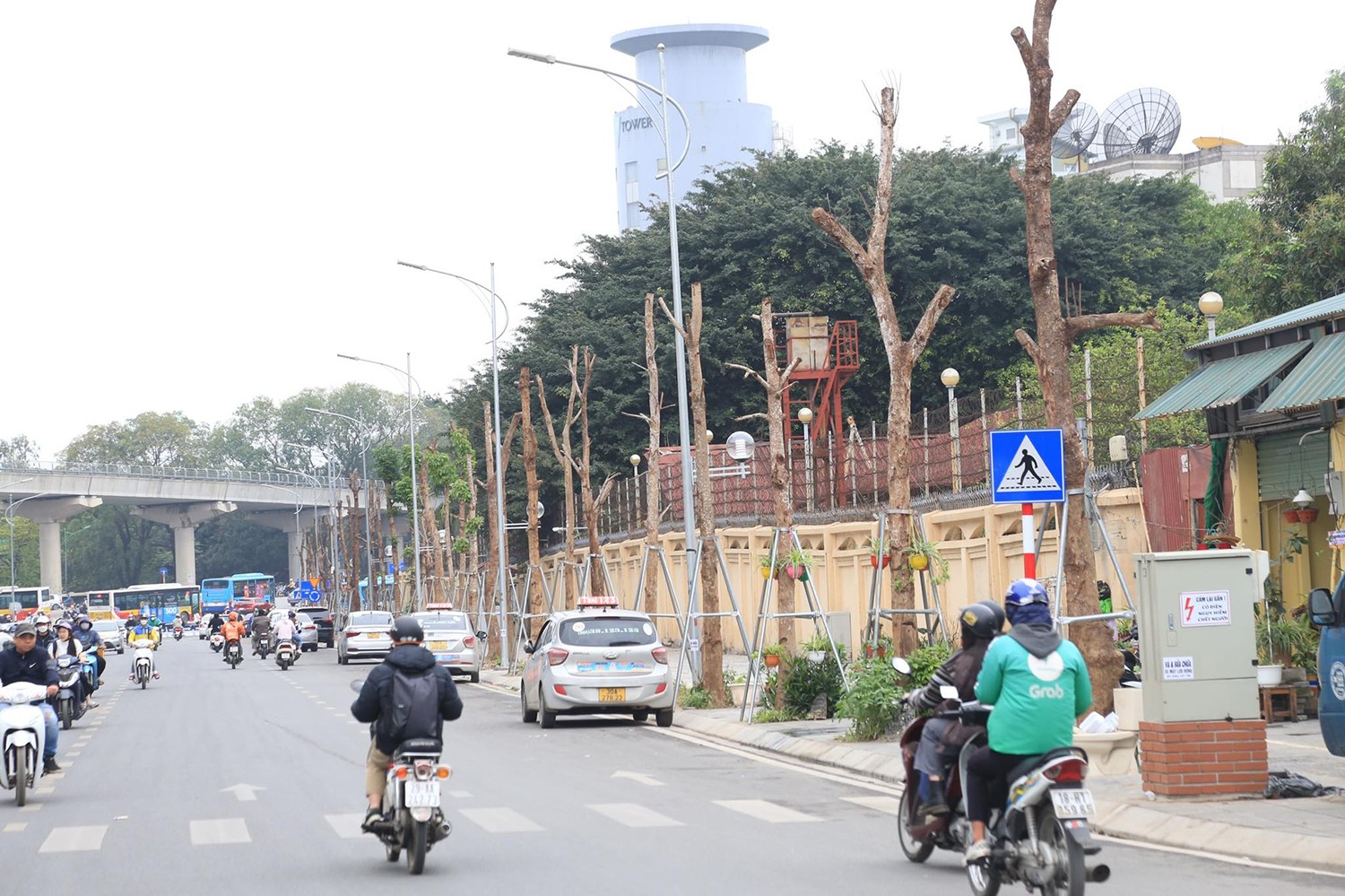Hà Nội: Nhổ bỏ hàng cây tiền tỷ chết khô trên đường Huỳnh Thúc Kháng kéo dài - Ảnh 1.
