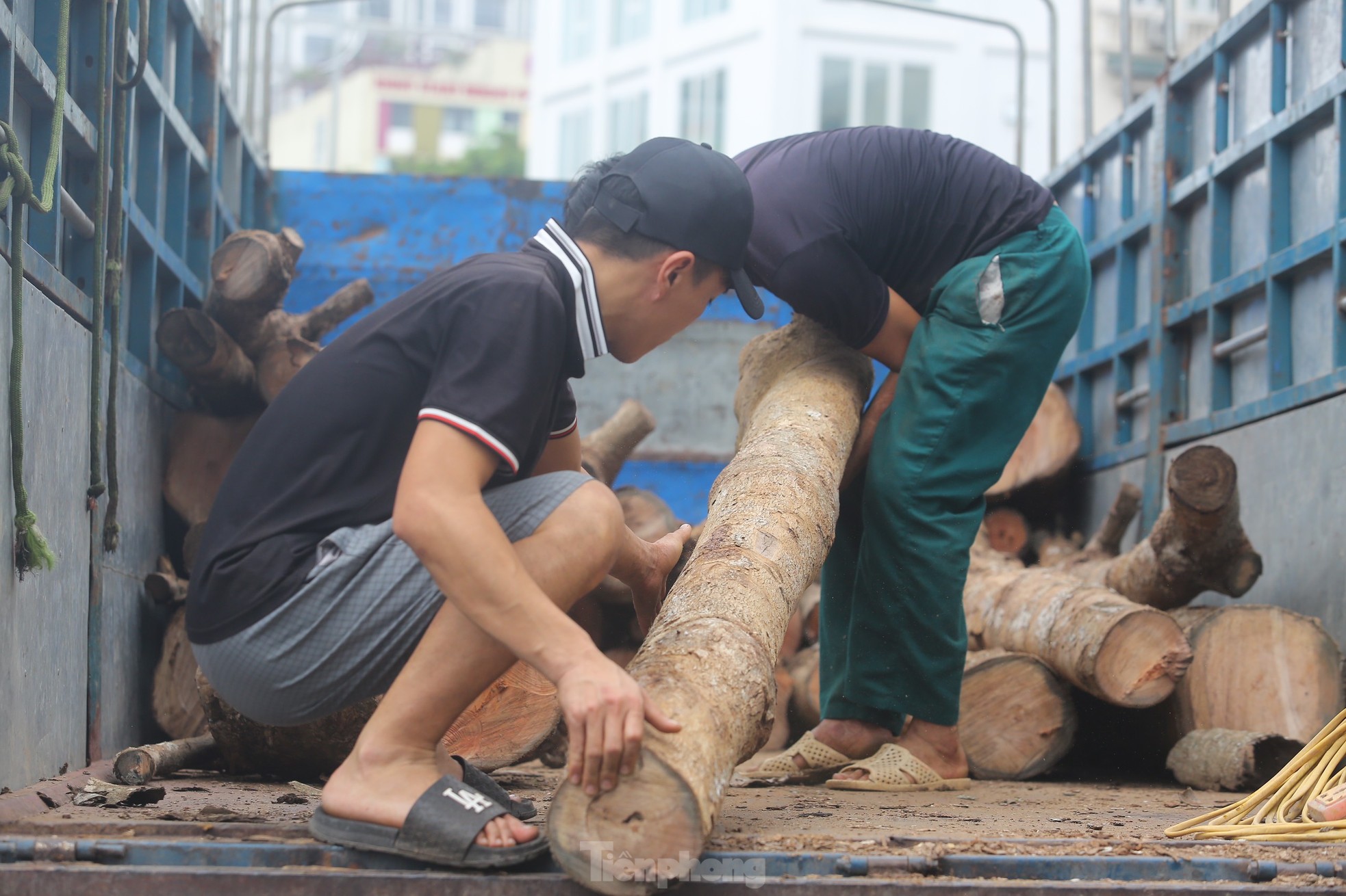 Hà Nội: Nhổ bỏ hàng cây tiền tỷ chết khô trên đường Huỳnh Thúc Kháng kéo dài - Ảnh 16.