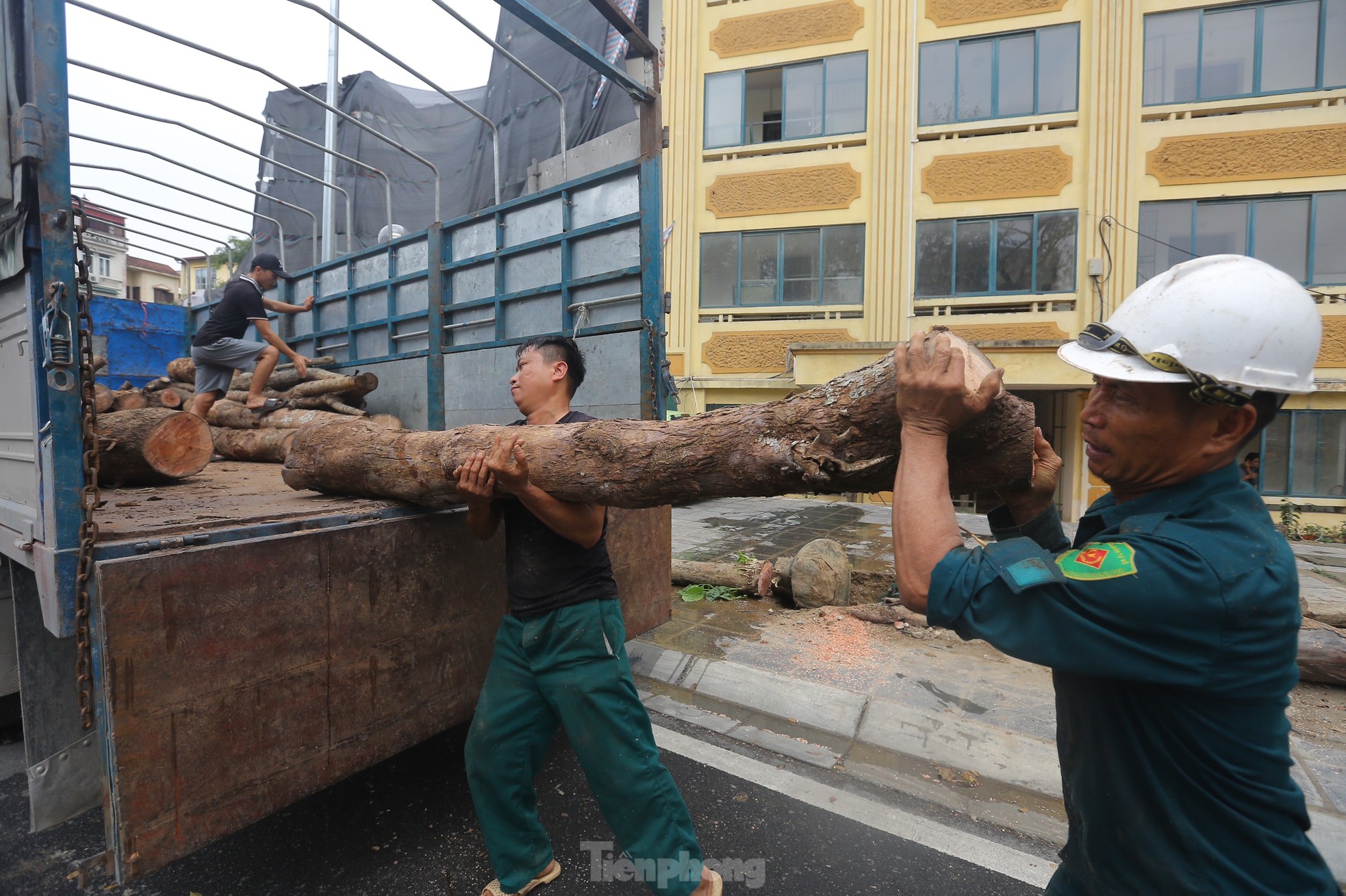 Hà Nội: Nhổ bỏ hàng cây tiền tỷ chết khô trên đường Huỳnh Thúc Kháng kéo dài - Ảnh 14.