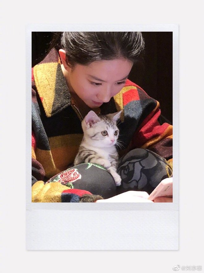  Tuổi 35 của Lưu Diệc Phi: Hưởng thụ cuộc sống phú bà quyền lực, sống độc thân trong biệt thự sang chảnh cùng 16 con mèo - Ảnh 16.