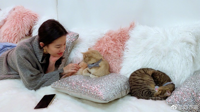 Tuổi 35 của Lưu Diệc Phi: Hưởng thụ cuộc sống phú bà quyền lực, sống độc thân trong biệt thự sang chảnh cùng 16 con mèo - Ảnh 8.