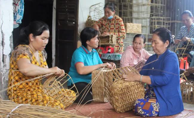 Cách chống xâm nhập mặn đáng nể của nông dân Việt Nam: Một loại cỏ dễ mọc, chi phí thấp, giúp thu đến 100 triệu/năm