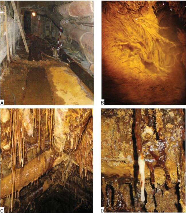 Tìm thấy các dạng sống ngoài hành tinh trong một mỏ Uranium bị bỏ hoang ở Đức - Ảnh 1.