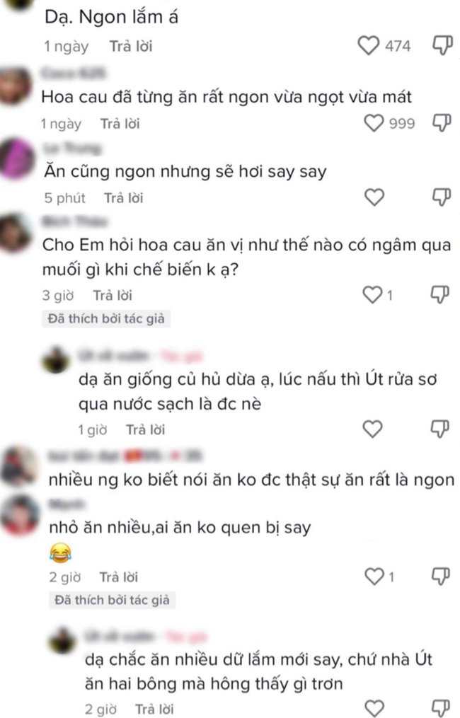 Trào lưu ăn uống khiến cây nhà lá vườn bỗng trở nên sốt xình xịch: Từ đọt đu đủ, quả mồng tơi đến cả hoa cau non cũng thành món ngon mới lạ - Ảnh 8.