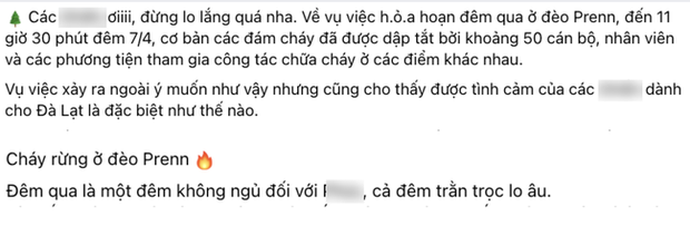  Du khách buồn bã, xót xa trước cảnh đồi thông cửa ngõ đèo Prenn bùng cháy dữ dội - Ảnh 6.