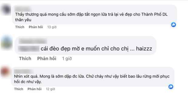  Du khách buồn bã, xót xa trước cảnh đồi thông cửa ngõ đèo Prenn bùng cháy dữ dội - Ảnh 5.