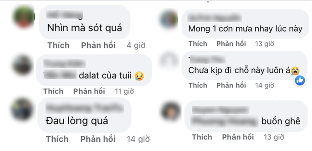  Du khách buồn bã, xót xa trước cảnh đồi thông cửa ngõ đèo Prenn bùng cháy dữ dội - Ảnh 4.