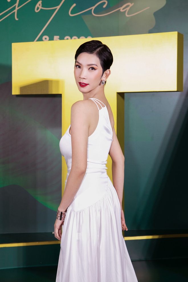 Trương Ngọc Ánh, Kỳ Duyên nổi bật trên thảm đỏ show thời trang - Ảnh 3.