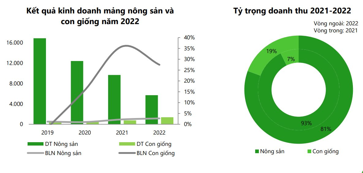 Đàn heo ăn chay và nỗ lực rũ bùn đứng dậy của đại gia Trương Sỹ Bá - Ảnh 3.