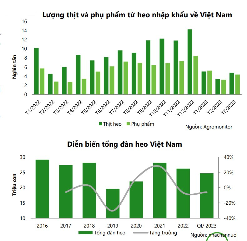 Đàn heo ăn chay và nỗ lực rũ bùn đứng dậy của đại gia Trương Sỹ Bá - Ảnh 2.