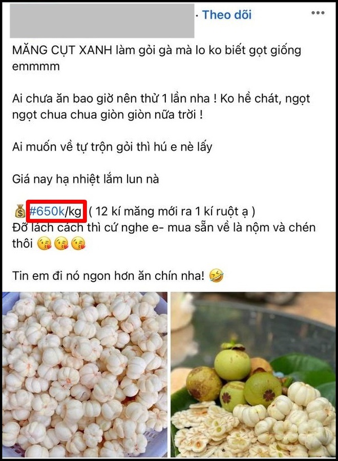  Măng cụt xanh gọt vỏ giá lên đến 750k/kg, nhưng không phải có tiền là mua được - Ảnh 5.