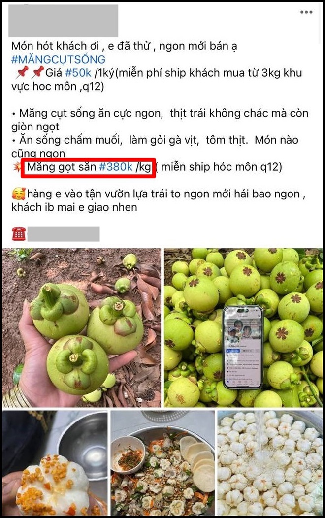  Măng cụt xanh gọt vỏ giá lên đến 750k/kg, nhưng không phải có tiền là mua được - Ảnh 3.