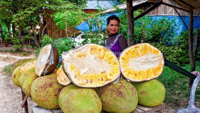 Loại trái cây được mệnh danh là quả thần, có thể cứu sống con người: Nhiều nước vứt đi, Việt Nam vô cùng ưa chuộng - Ảnh 3.