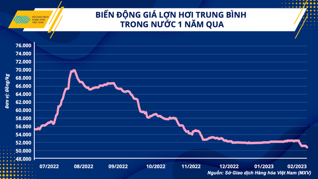 Khi heo không chỉ ăn cám, ăn chuối mà còn ăn cả lãi ngân hàng - Ảnh 2.