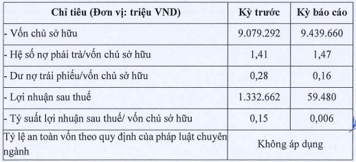 Con cưng của Đất Xanh (DXG) báo lãi năm 2022 giảm sâu 96% - Ảnh 1.