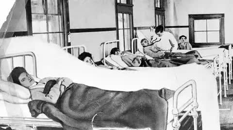 Vì sao Typhoid Mary - Mary thương hàn lại bị cách ly 23 năm? - Ảnh 1.