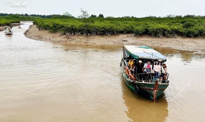 Tạm dừng tham quan Vườn Quốc gia Xuân Thủy sau vụ phụ huynh và học sinh tử vong - Ảnh 1.