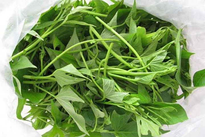 2 loại rau trường thọ mọc hoang đầy ở Việt Nam tốt hơn thuốc bổ - Ảnh 1. 2 loại rau trường thọ mọc hoang đầy ở Việt Nam tốt hơn thuốc bổ - Ảnh 1.