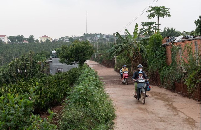 Một loại nông sản của Việt Nam có thể đổi vận, nhiều nước muốn học theo - Ảnh 1.
