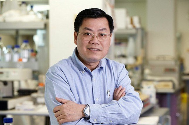 Giáo sư Nguyễn Văn Tuấn: Đưa môn Văn vào xét tuyển ngành y, chẳng có gì phải băn khoăn - Ảnh 1.
