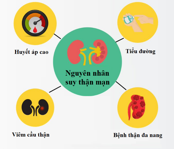 Người đàn ông thận khỏe thường có 6 đặc điểm, đến tuổi trung niên vẫn duy trì trên 4 điều chứng tỏ sức khỏe tốt - Ảnh 1.