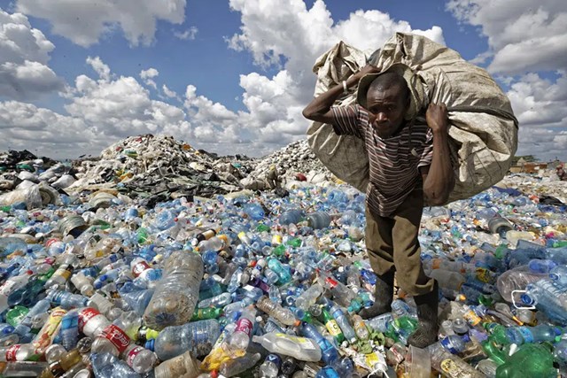 Hệ lụy khôn lường của rác thải nhựa - Ảnh 1.