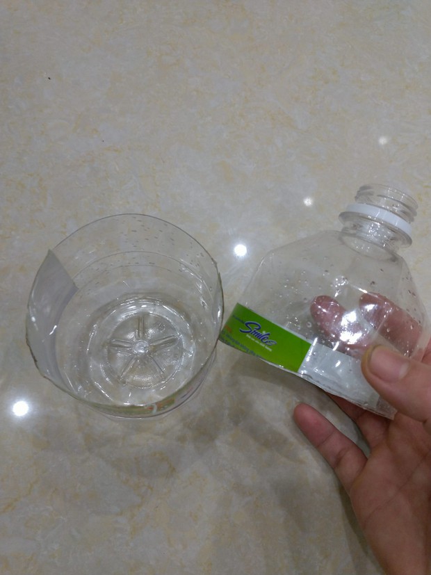 Mẹo bẫy gián cực đơn giản và tiết kiệm chỉ bằng một chai nhựa - Ảnh 2.