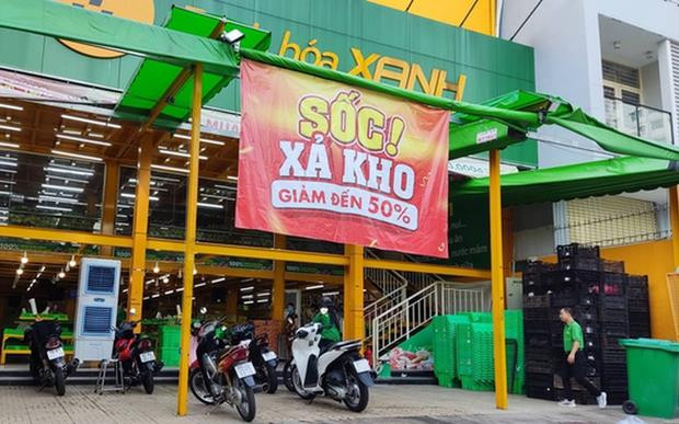 Bách Hóa Xanh lỗ 354 tỷ đồng quý 1/2023, lỗ lũy kế vượt 7.700 tỷ đồng - Ảnh 1.