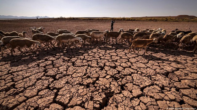 El Nino quay trở lại, Việt Nam có thể phải đối mặt với những đợt nắng nóng chưa từng có - Ảnh 4.