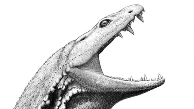 Tiết lộ khuôn mặt của nòng nọc sát thủ đã khủng bố Trái đất trước khi có khủng long - Ảnh 1.