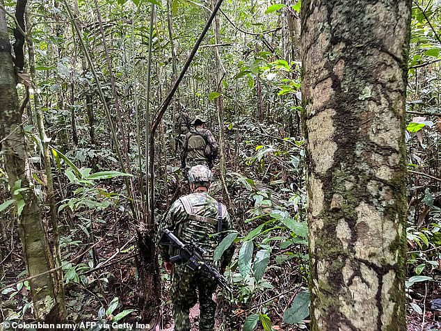Ảnh: Quá trình tìm kiếm 4 em nhỏ sống sót thần kỳ suốt 40 ngày mất tích trong rừng sâu ở Colombia - Ảnh 4.