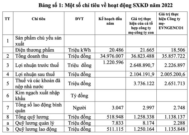 Lãi lớn năm 2022, 1 thành viên của EVN chi nghìn tỷ trả lương thưởng 51 triệu đồng/tháng cho gần 3000 nhân viên - Ảnh 1.