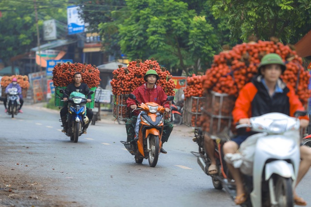 Chùm ảnh: Người dân Bắc Giang trắng đêm soi đèn thu hoạch vải thiều, nô nức chở đi bán từ tờ mờ sáng - Ảnh 22.