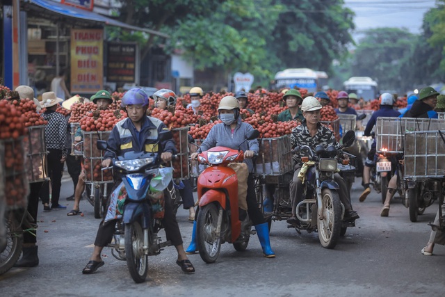 Chùm ảnh: Người dân Bắc Giang trắng đêm soi đèn thu hoạch vải thiều, nô nức chở đi bán từ tờ mờ sáng - Ảnh 13.