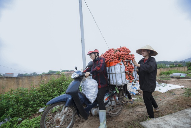 Chùm ảnh: Người dân Bắc Giang trắng đêm soi đèn thu hoạch vải thiều, nô nức chở đi bán từ tờ mờ sáng - Ảnh 11.