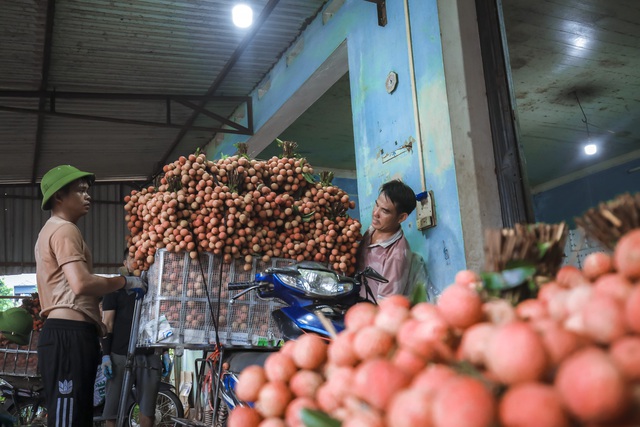 Chùm ảnh: Người dân Bắc Giang trắng đêm soi đèn thu hoạch vải thiều, nô nức chở đi bán từ tờ mờ sáng - Ảnh 19.