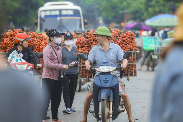 Chùm ảnh: Người dân Bắc Giang trắng đêm soi đèn thu hoạch vải thiều, nô nức chở đi bán từ tờ mờ sáng - Ảnh 17.